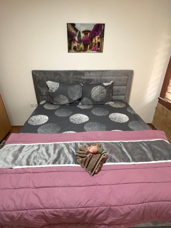 Aloha Apartment 新帕扎尔 外观 照片